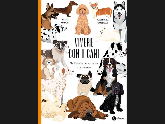 venerdi-6-marzo-ore-1830-presentazione-di-elena-garoni-a-verbania