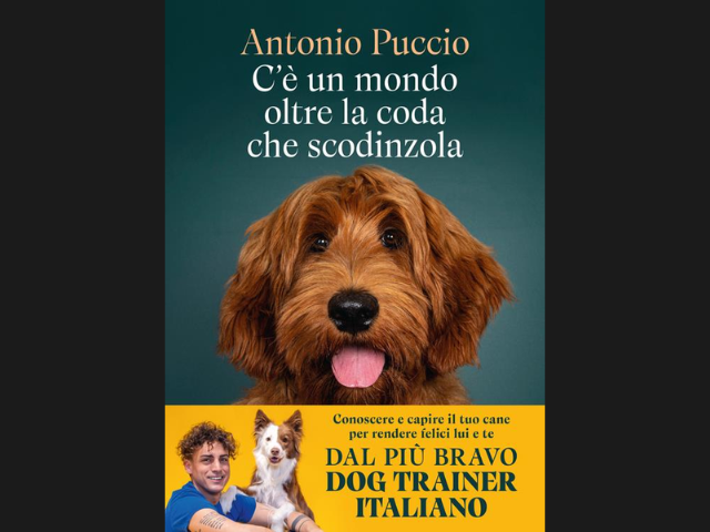 mercoledi-12-novembre-ore-1800-presentazione-di-antonio-puccio-a-milano