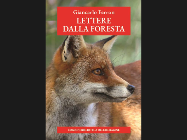 venerdi-19-dicembre-ore-1800-presentazione-di-giancarlo-ferron-a-vicenza