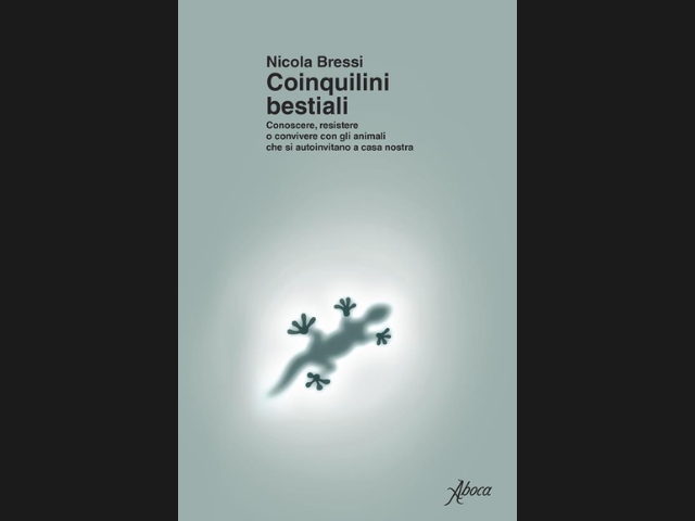 venerdi-5-giugno-ore-1800-presentazione-di-nicola-bressi-a-milano
